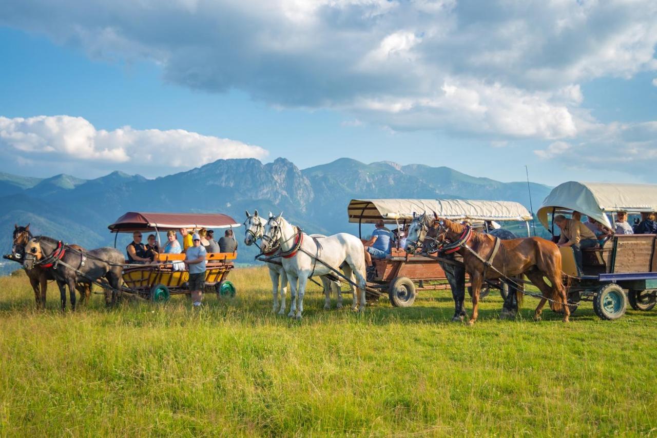 Willa U Perelki Zakopane Exterior foto